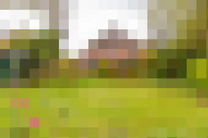 Kerkdijk 10 Ansen thumbnail 80