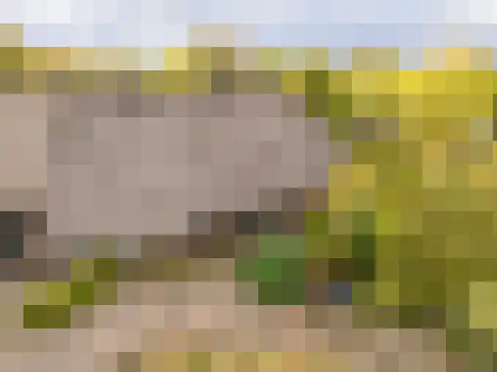 Kerkdijk 10 Ansen thumbnail 83