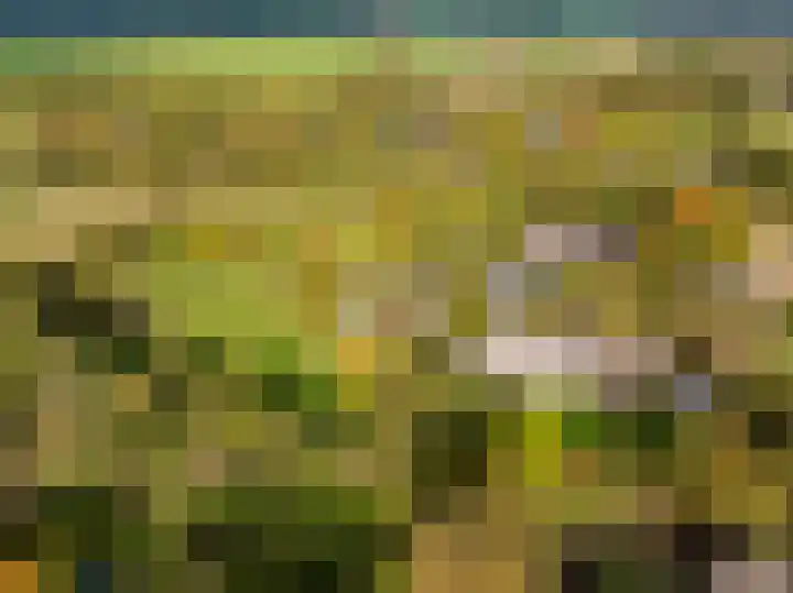 Kerkdijk 10 Ansen thumbnail 85