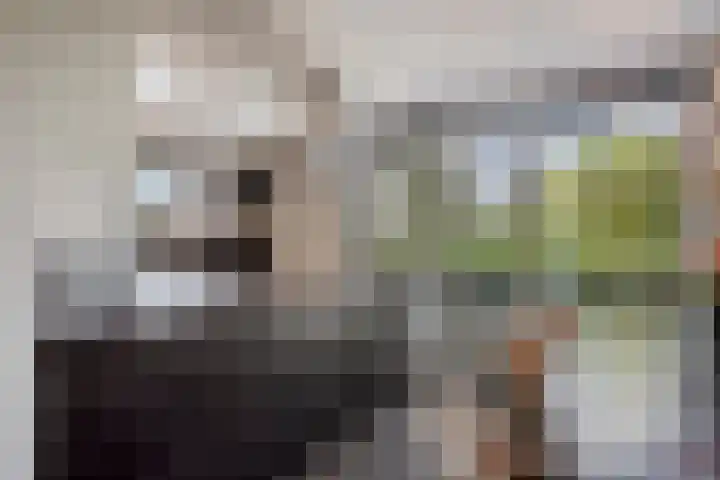 Kerkeakker 5 Herveld thumbnail 14
