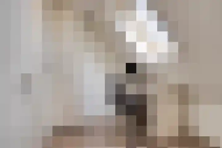 Kerkeakker 5 Herveld thumbnail 38