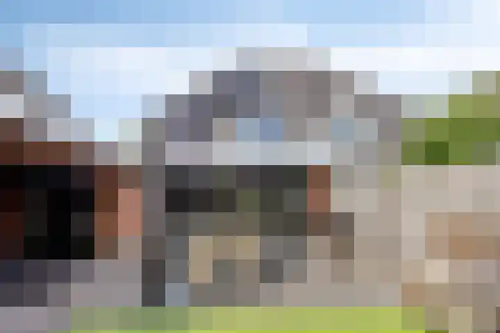 Kerkeakker 5 Herveld thumbnail 45