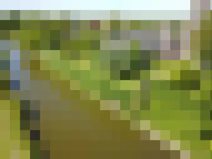 Kerkebuurt 174 Berkhout thumbnail 45