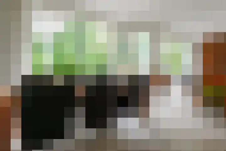 Kerkedennen 73 Borne thumbnail 11