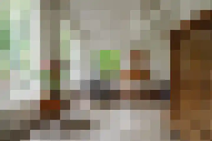 Kerkedennen 73 Borne thumbnail 12