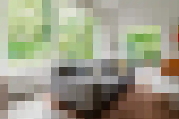 Kerkedennen 73 Borne thumbnail 16