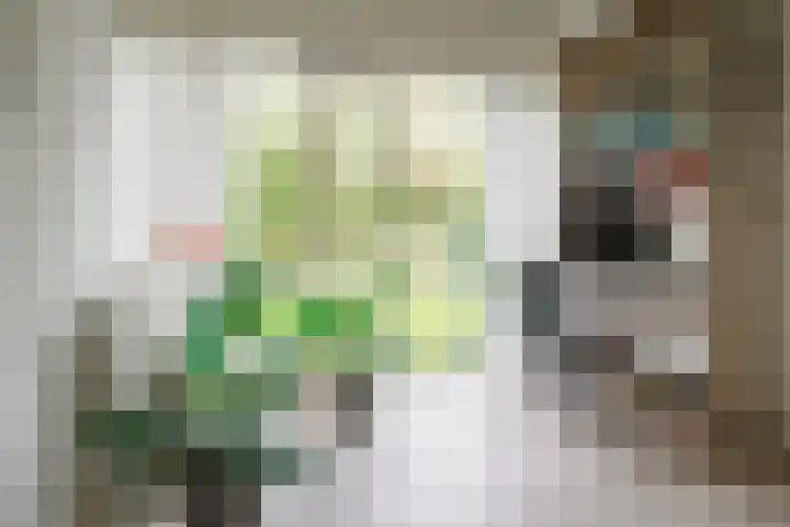 Kerkedennen 73 Borne thumbnail 18