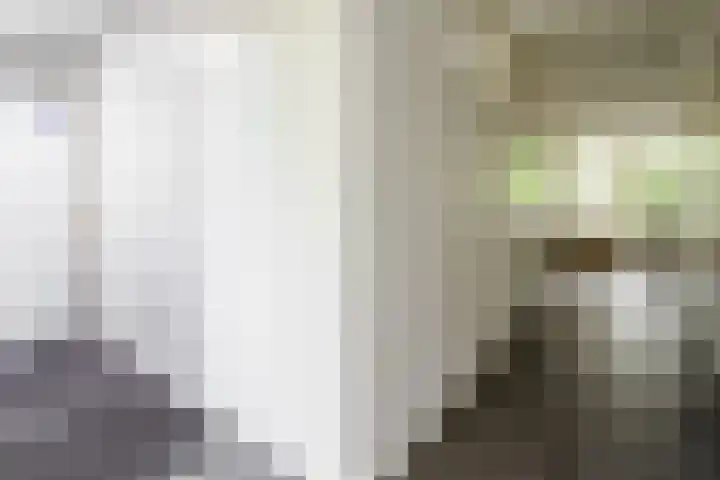 Kerkedennen 73 Borne thumbnail 36