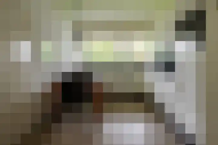 Kerkedennen 73 Borne thumbnail 4