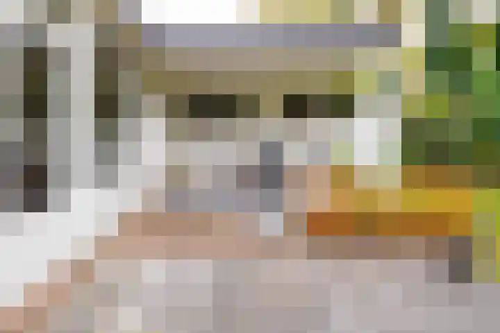 Kerkedennen 73 Borne thumbnail 42