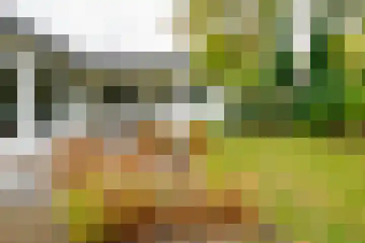 Kerkedennen 73 Borne thumbnail 45