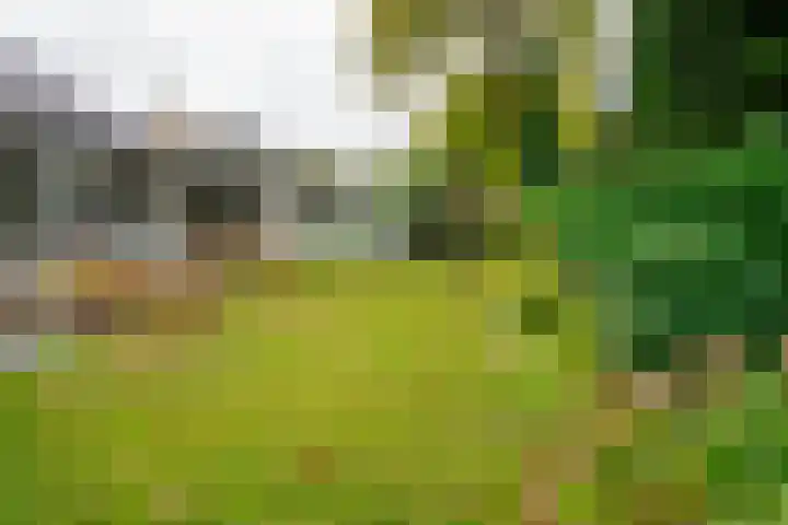 Kerkedennen 73 Borne thumbnail 47