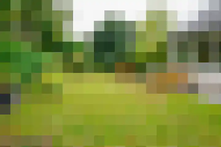 Kerkedennen 73 Borne thumbnail 48