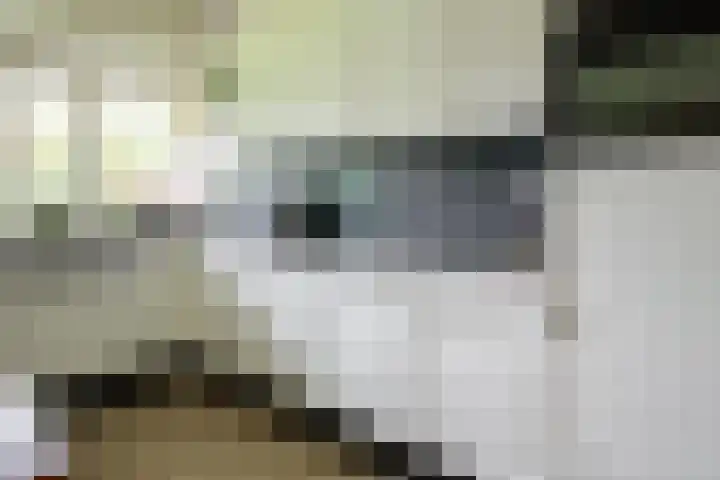 Kerkedennen 73 Borne thumbnail 5