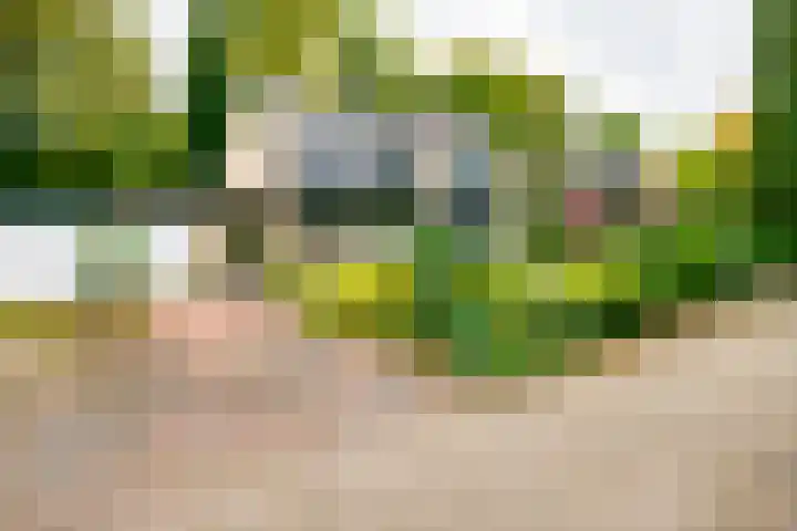 Kerkedennen 73 Borne thumbnail 52