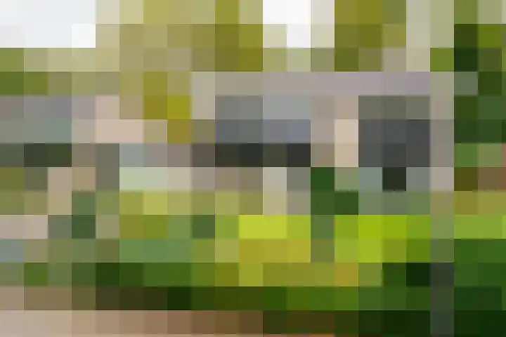 Kerkedennen 73 Borne thumbnail 53