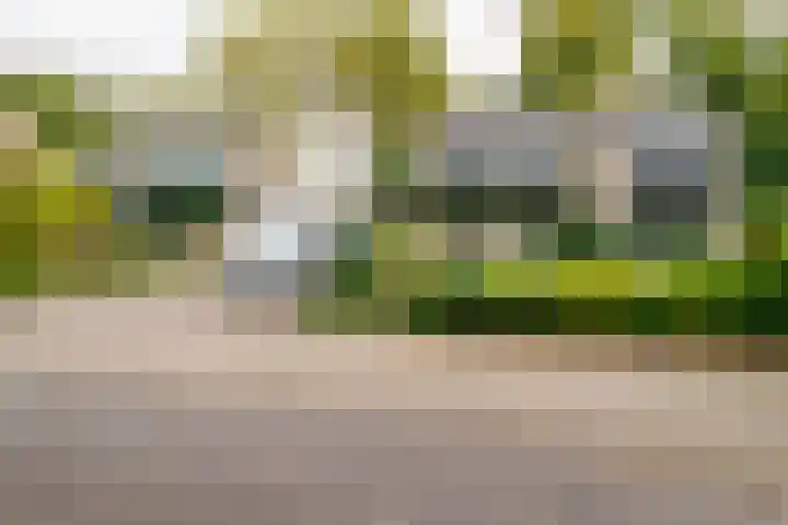 Kerkedennen 73 Borne thumbnail 54