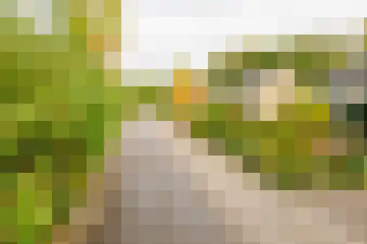 Kerkedennen 73 Borne thumbnail 55