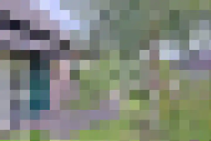 Kerkegaard 9 Eefde thumbnail 11