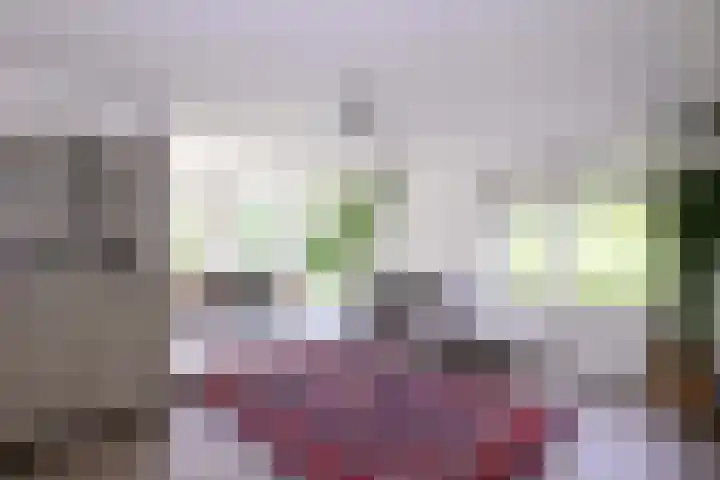Kerkegaard 9 Eefde thumbnail 16