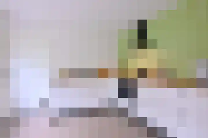 Kerkegaard 9 Eefde thumbnail 21