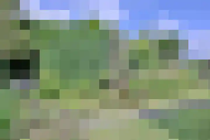 Kerkegaard 9 Eefde foto 3