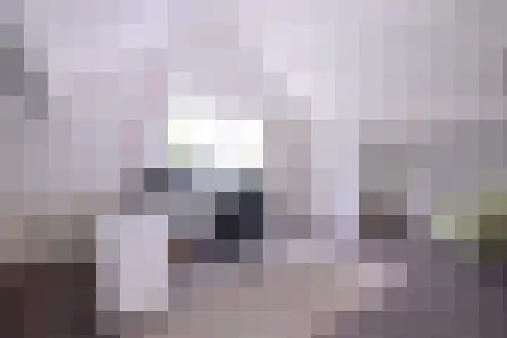 Kerkegaard 9 Eefde thumbnail 30