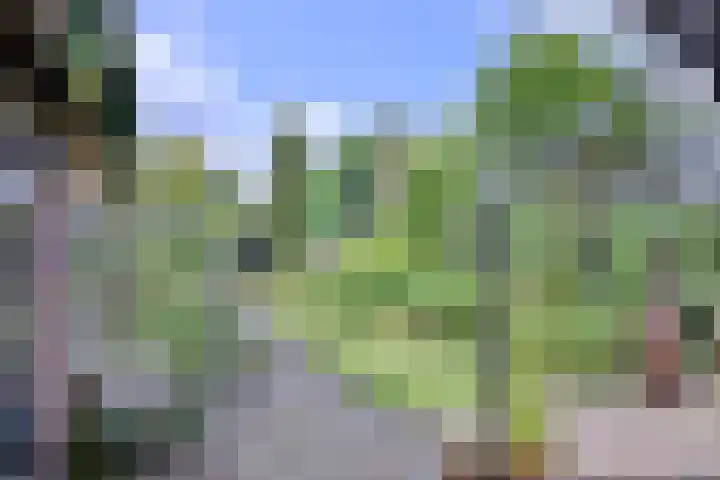 Kerkegaard 9 Eefde thumbnail 39