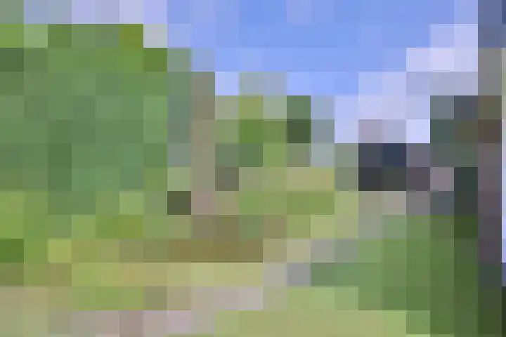 Kerkegaard 9 Eefde thumbnail 4