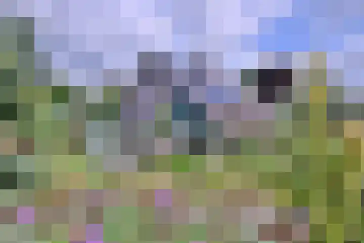 Kerkegaard 9 Eefde thumbnail 41