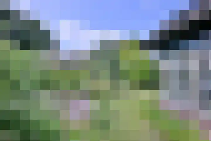 Kerkegaard 9 Eefde thumbnail 6