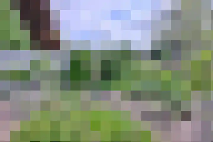 Kerkegaard 9 Eefde thumbnail 8