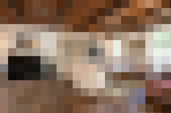 Kerkeind 12 Arkel thumbnail 13