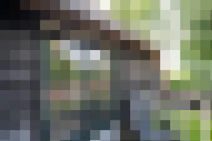 Kerkeind 12 Arkel thumbnail 46