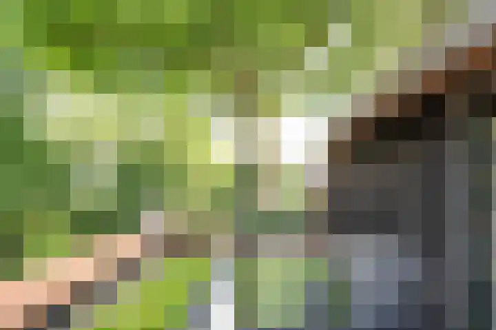 Kerkeind 12 Arkel thumbnail 47
