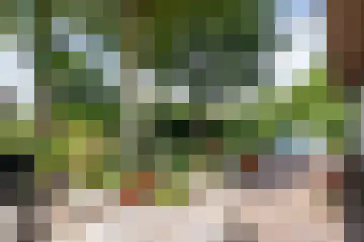 Kerkeind 12 Arkel thumbnail 51
