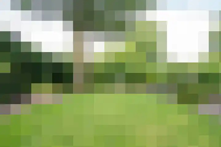 Kerkeind 12 Arkel thumbnail 54