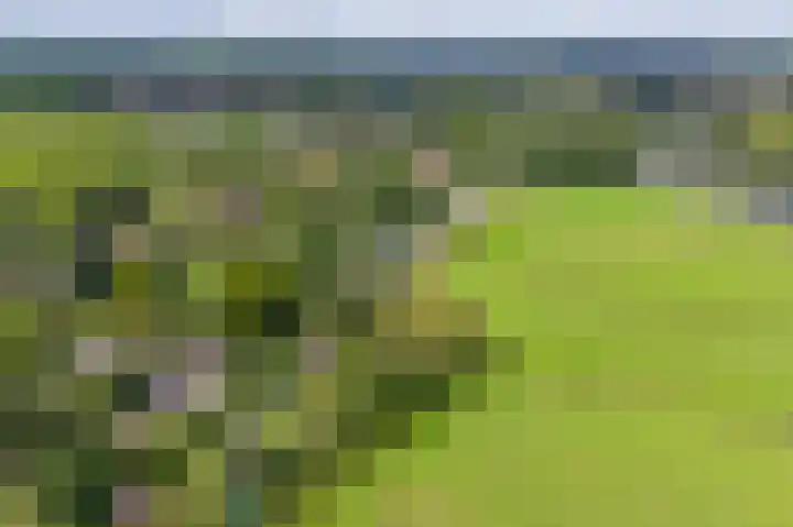 Kerkeind 12 Arkel thumbnail 63