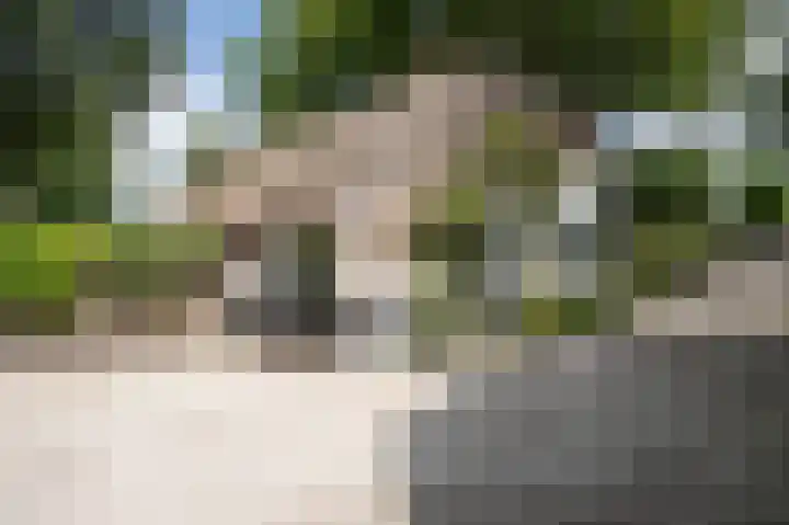 Kerkeind 12 Arkel thumbnail 9