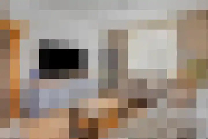 Kerkeind 8 Gemonde thumbnail 11