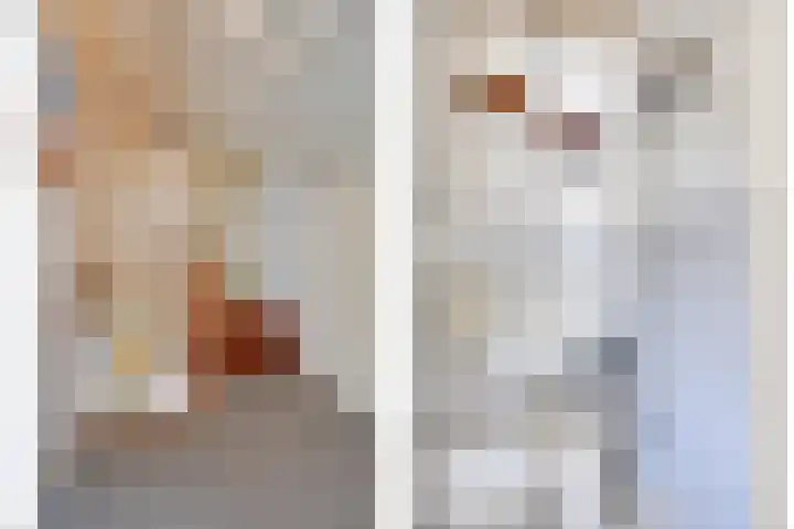 Kerkeind 8 Gemonde thumbnail 20