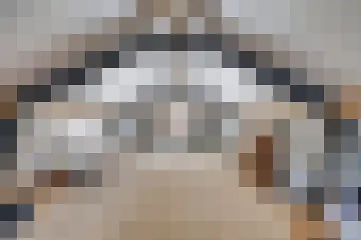 Kerkeind 8 Gemonde thumbnail 30