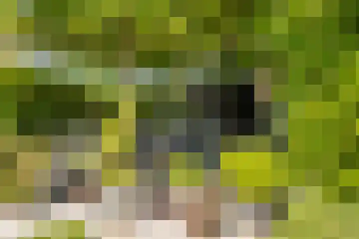 Kerkeinde 16 Sleeuwijk thumbnail 24