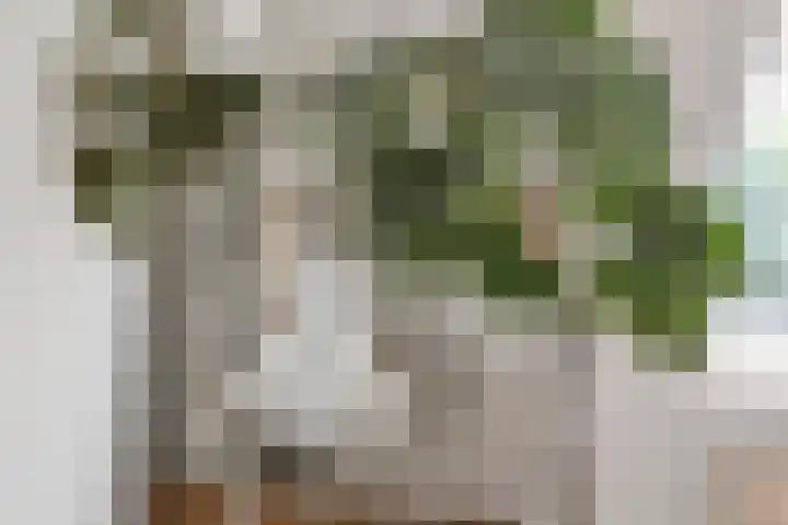 Kerkeinde 16 Sleeuwijk thumbnail 41