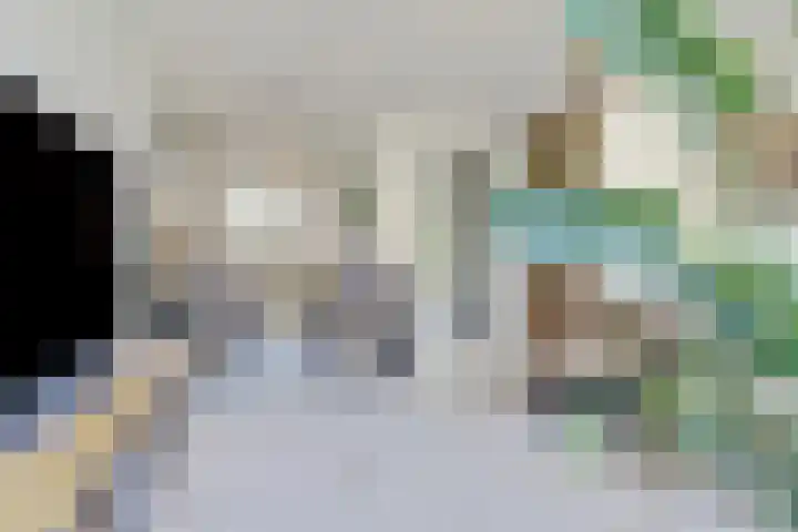 Kerkekkers 4 Hulsel thumbnail 12