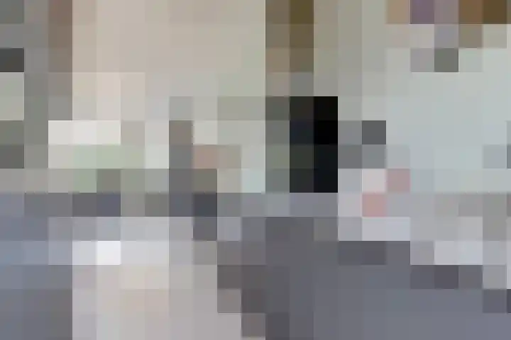 Kerkekkers 4 Hulsel thumbnail 20