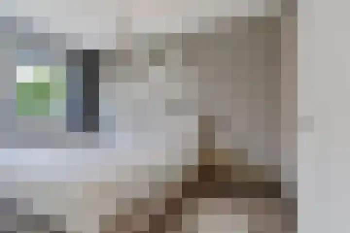 Kerkekkers 4 Hulsel thumbnail 24