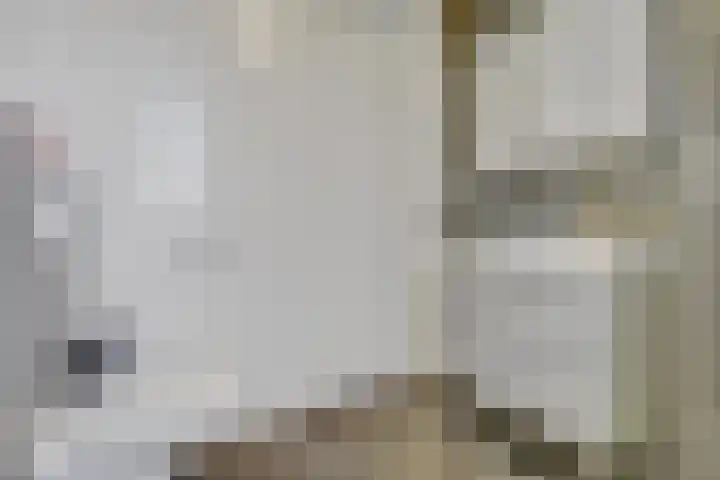 Kerkekkers 4 Hulsel thumbnail 31