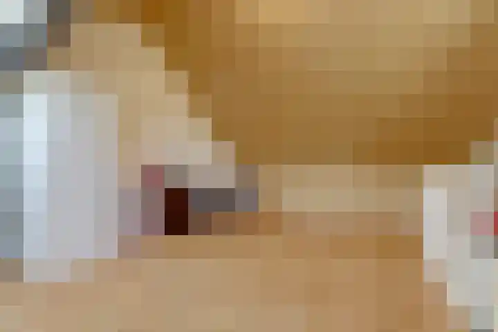 Kerkekkers 4 Hulsel thumbnail 33