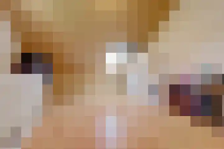 Kerkekkers 4 Hulsel thumbnail 34